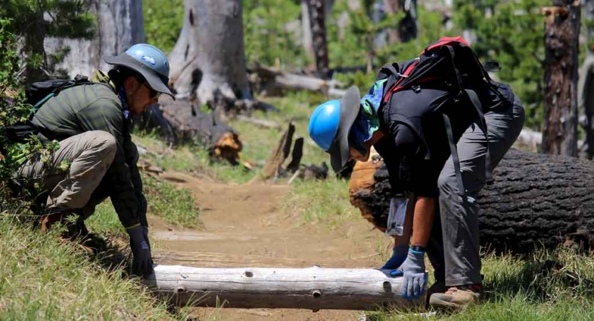two people pick up a log that is blocking a trail during a service project